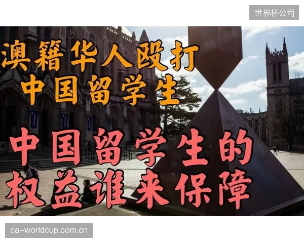 面对“巨鲸”账户对市场的价格操纵,普通球迷的权益由谁来保护? 面对“巨鲸”账户对市场的价格操纵,普通球迷的权益由谁来保护?